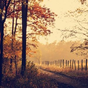 Meet your Posher, Carla